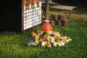 Jesenná Ikebana v Zbore
Jesenná Ikebana v Zbore